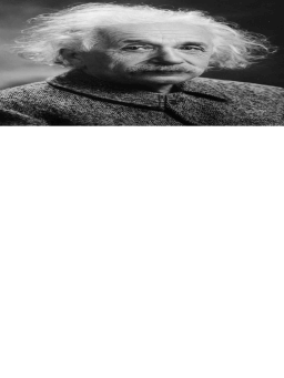 Celebrate Scientists Day