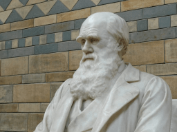 International Darwin Day