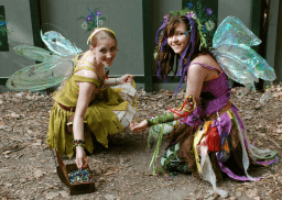 International Fairy Day