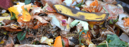 Learn About Composting Day