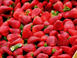 National California Strawberry Day