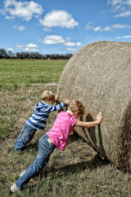 National Farm Safety Day for Kids