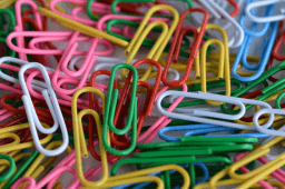 Paper Clip Day