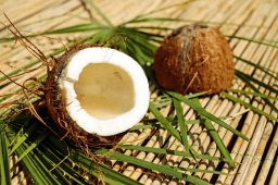 World Coconut Day
